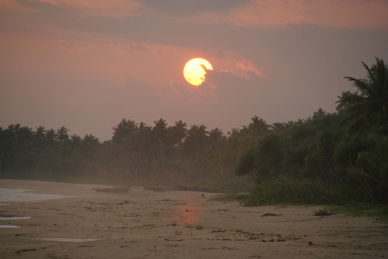 Lanka Beach Grand Villa Rekawa Exteriér fotografie