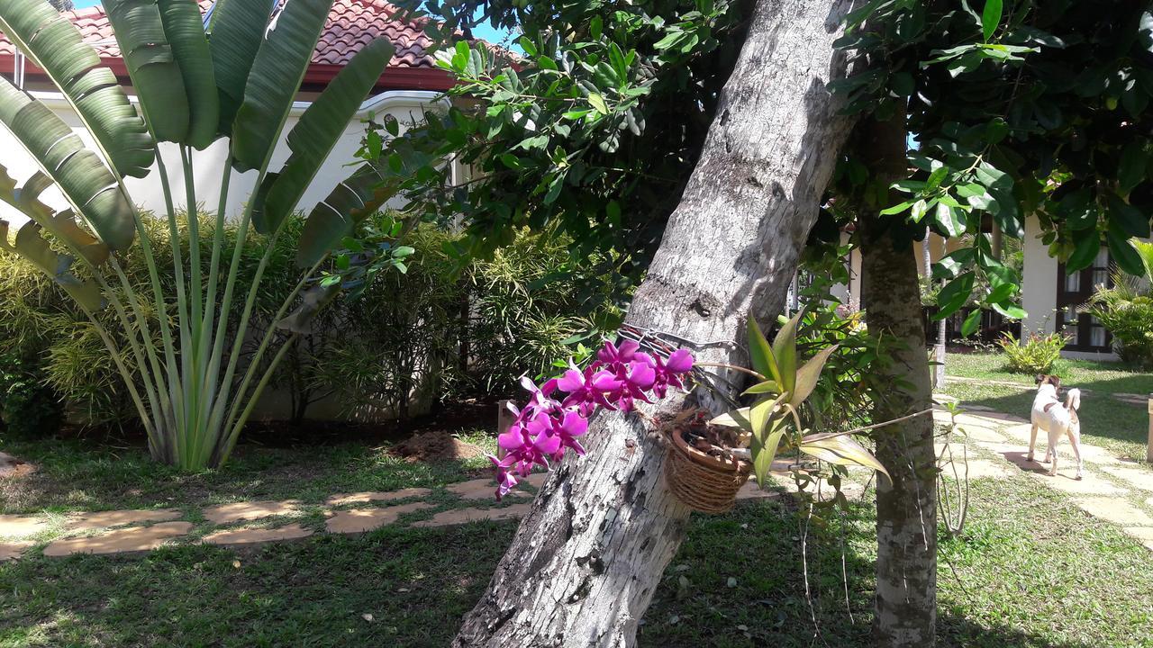 Lanka Beach Grand Villa Rekawa Exteriér fotografie